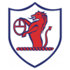 https://img.jnhongen.com/img/football/team/11fb72f7b5eacfc881ee11bac75871fa.png