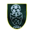 https://img.jnhongen.com/img/football/team/12b8da6e816dbb52eef7ed7e5e831445.png