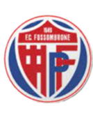 https://img.jnhongen.com/img/football/team/716538f8ce647982665ad98c59e7f663.png