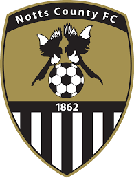 https://img.jnhongen.com/img/football/team/9e230c89a846b9cadf91884918fa7611.png